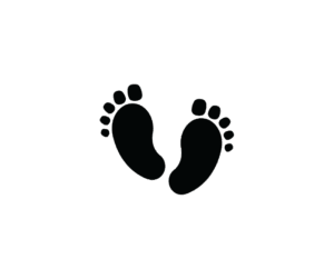 Certificate -(Humanities and Social Science) 1 Year